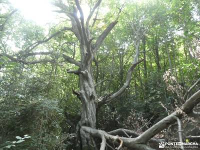 Valle del Tena - Pirineos Atlánticos; maestrazgo teruel senderos de extremadura castillo de atienza 